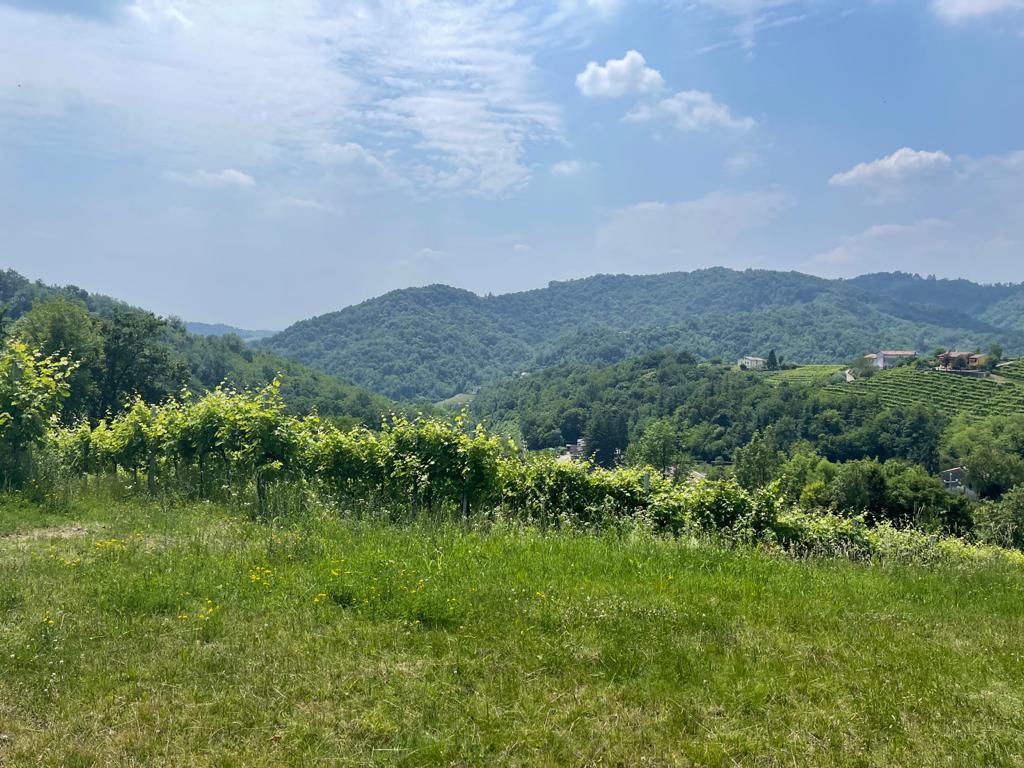 panorama from the property