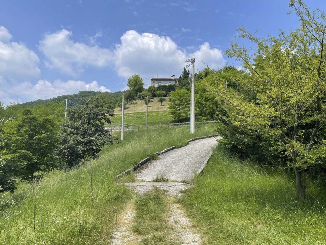 Viale che porta alla proprietà