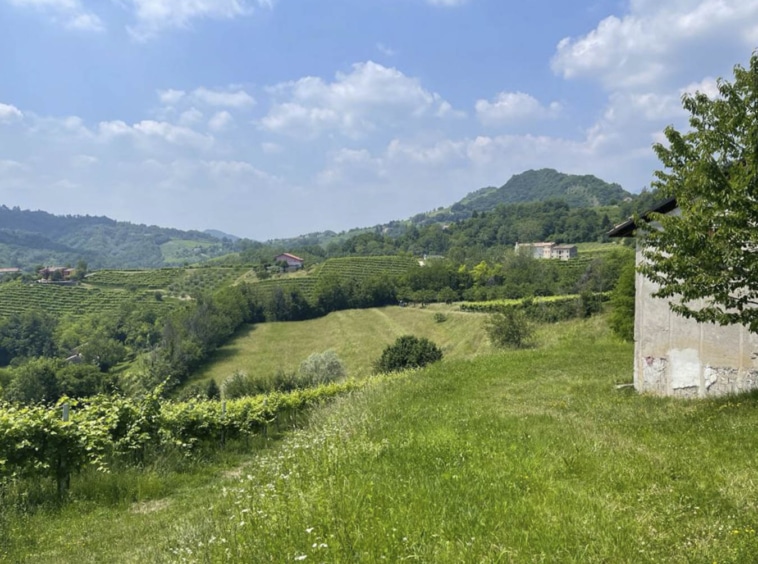 Vista 2