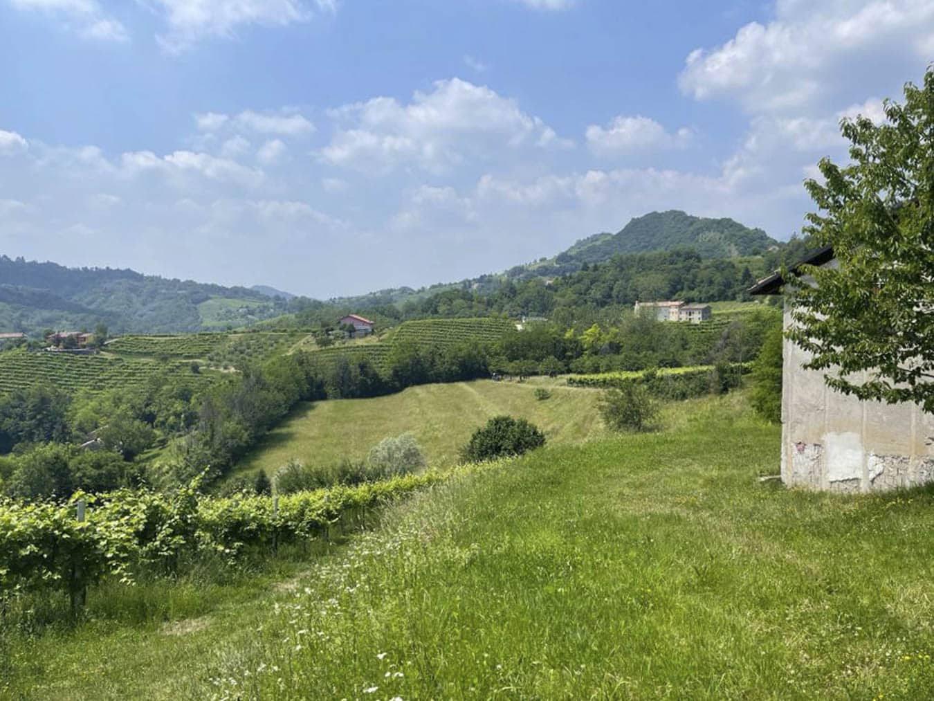 Vista 2