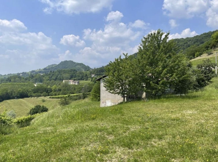 Vista 3