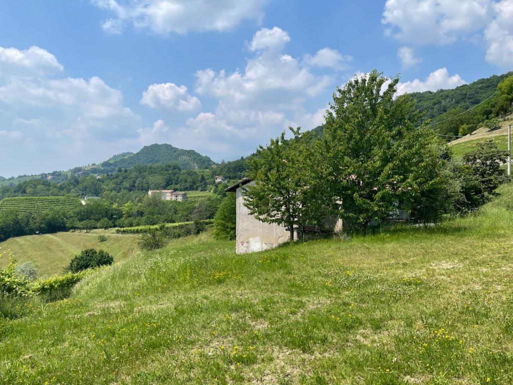 view from the property in Tarzo