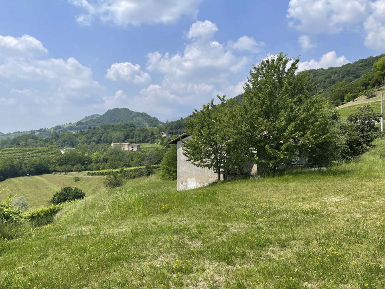 Vista 3