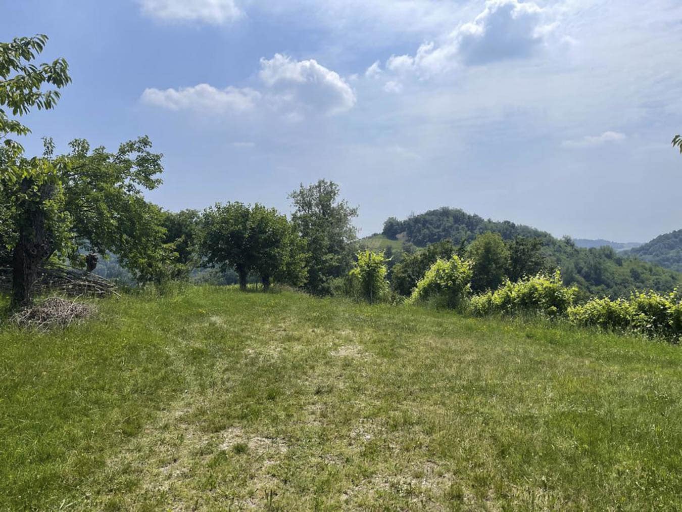 Vista