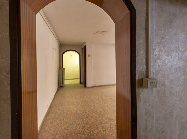 Ingresso