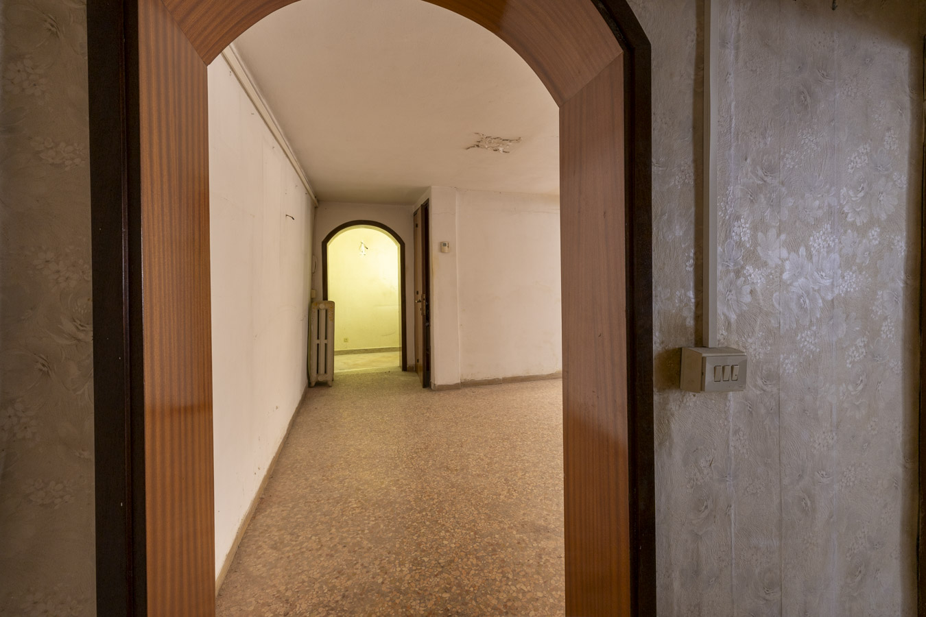 Ingresso